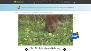 Vorschaubild